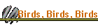 Birds, Birds, Birds